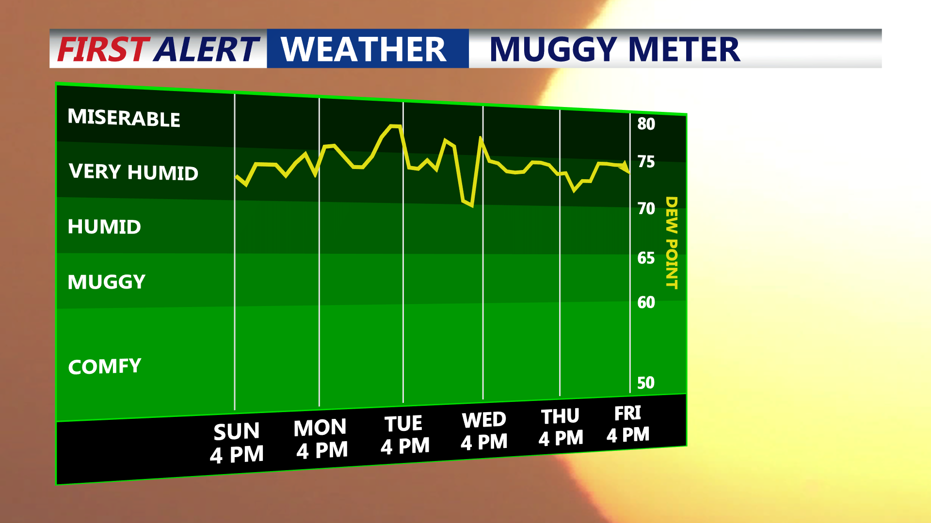 Muggy Meter